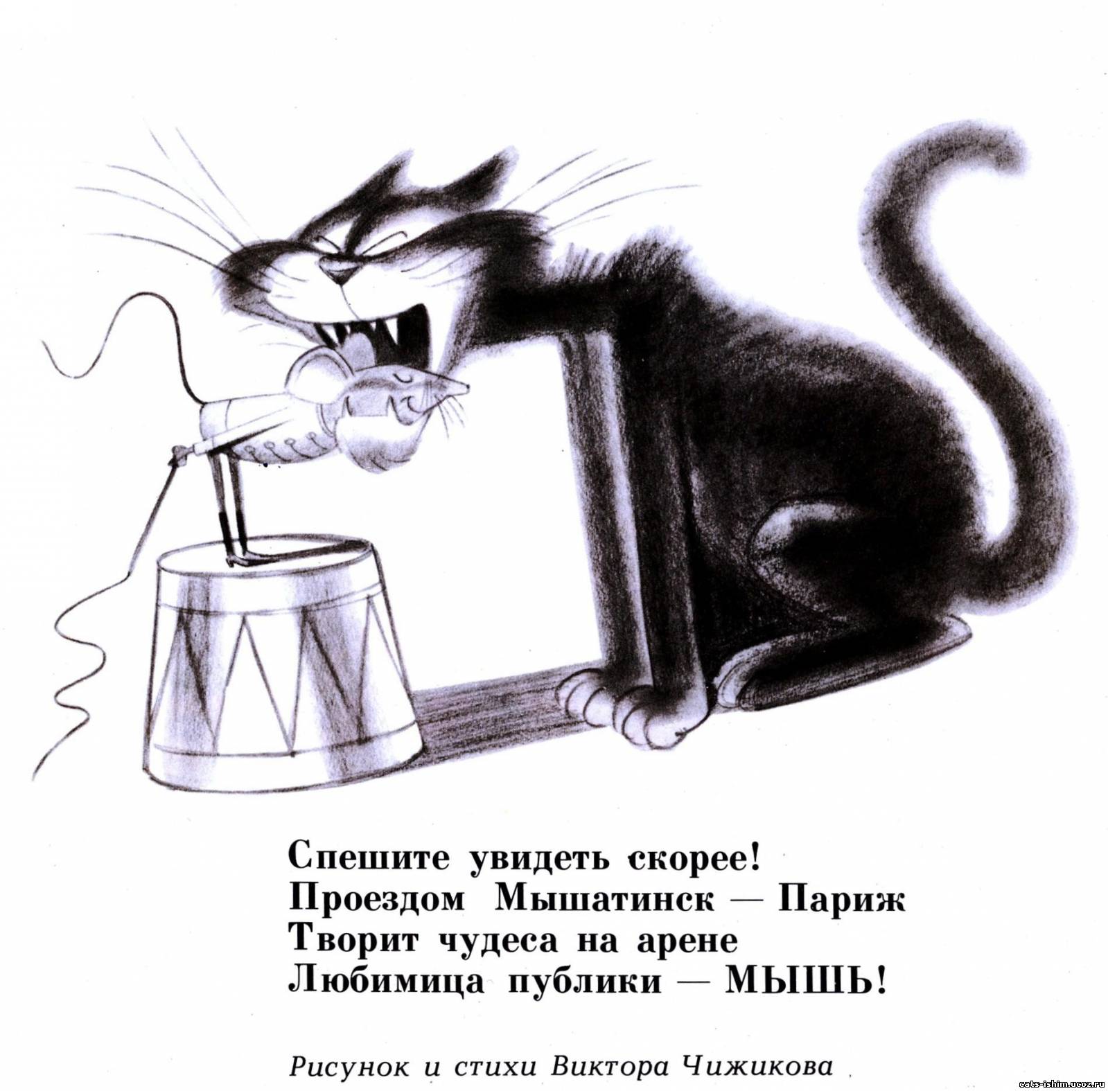 Виктор Чижиков коты
